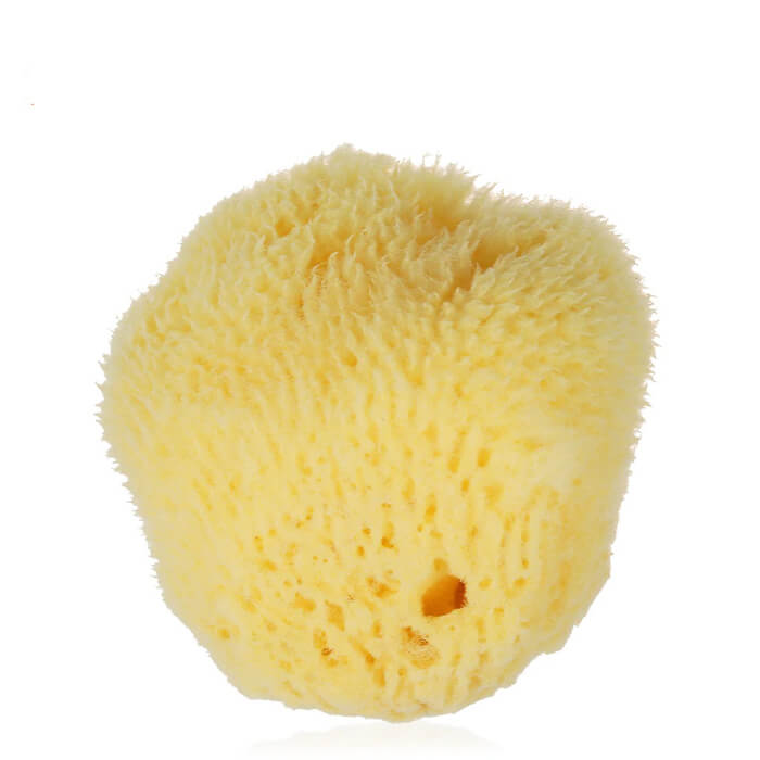 hilloo-ponge-de-mer-naturelle-visage-exfoliante-1-ponge image 1