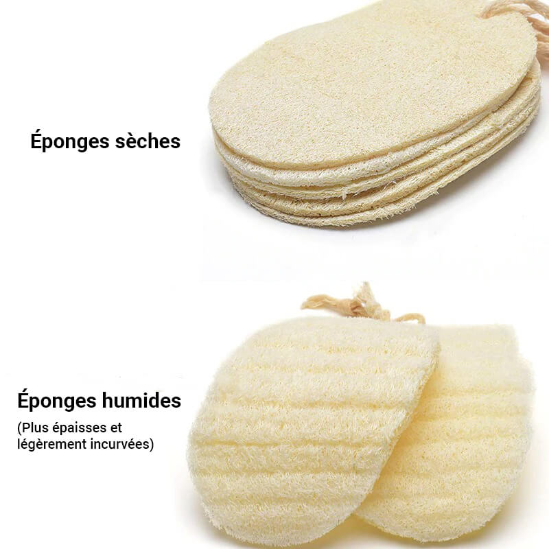 hilloo-ponge-luffa-vaisselle-naturelle-v-g-tale-lot-de-5-compostable image 4