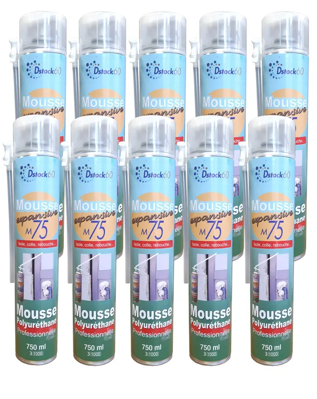 dstock60-mousse-expansive-manuelle-750ml-mousse-pu-lot-10-isolation image 1