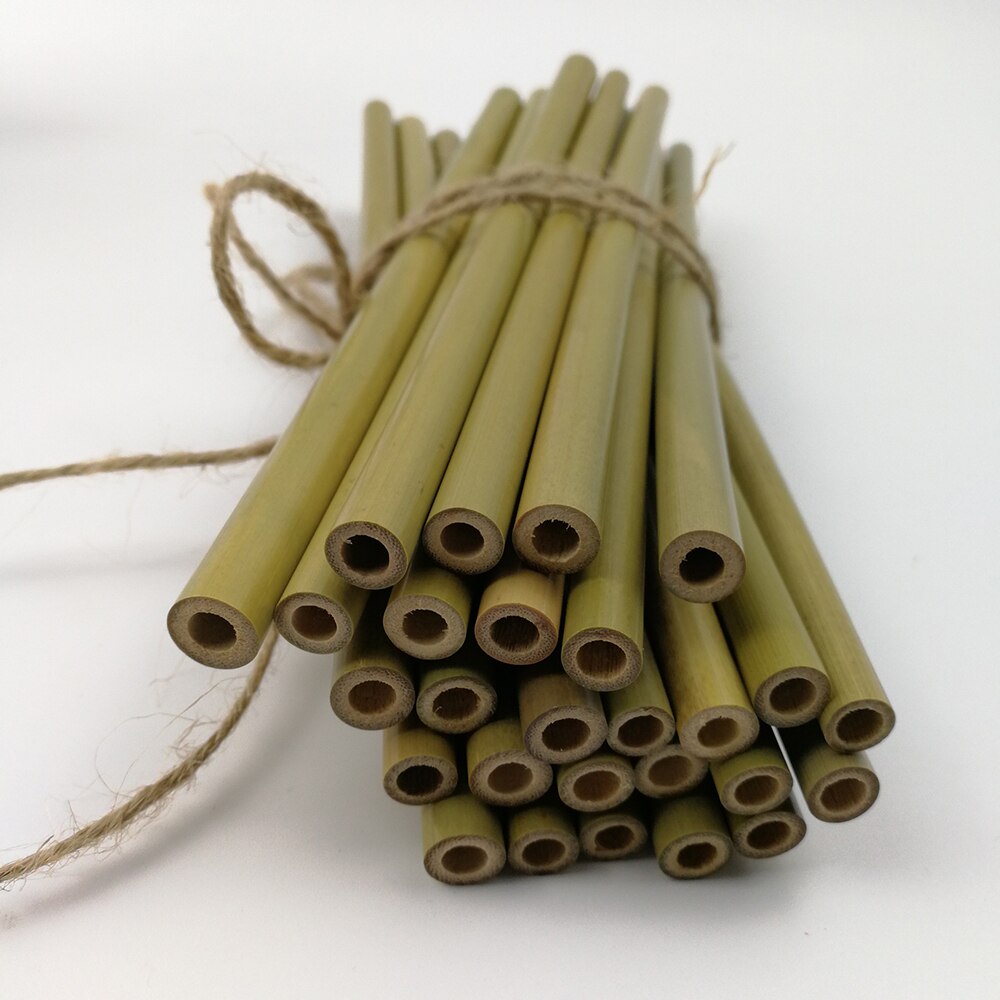 hilloo-pailles-bambou-naturelles-lot-100-goupillons-vert image 3