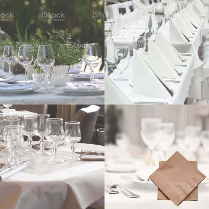 dstock60-arts-de-la-table-serviettes-papier-noix-100-pcs-40x40 image 4