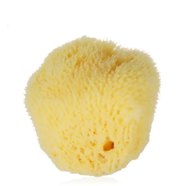 hilloo-ponge-de-mer-naturelle-visage-exfoliante-1-ponge image 1