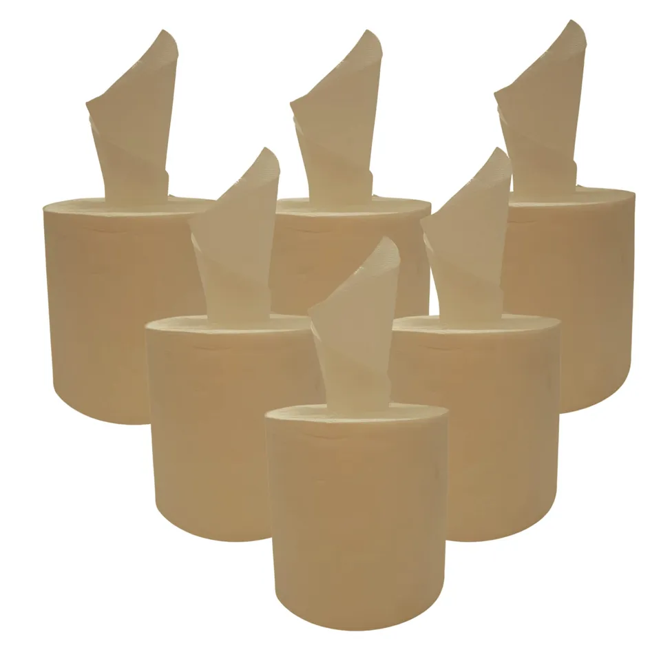 dstock60-essuyage-bobine-chamois-450-formats-6-rouleaux image 1
