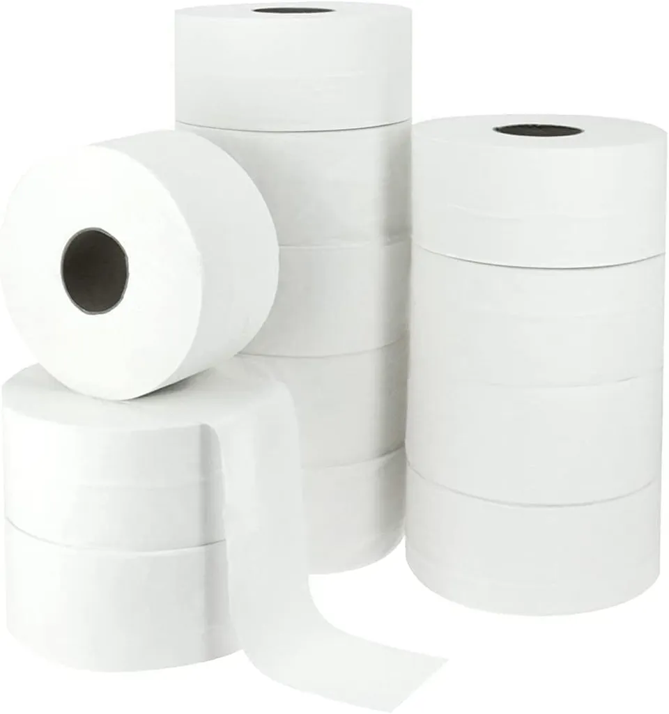 dstock60-papier-toilette-maxi-jumbo-eco-2-plis-lot-12-300-m image 1
