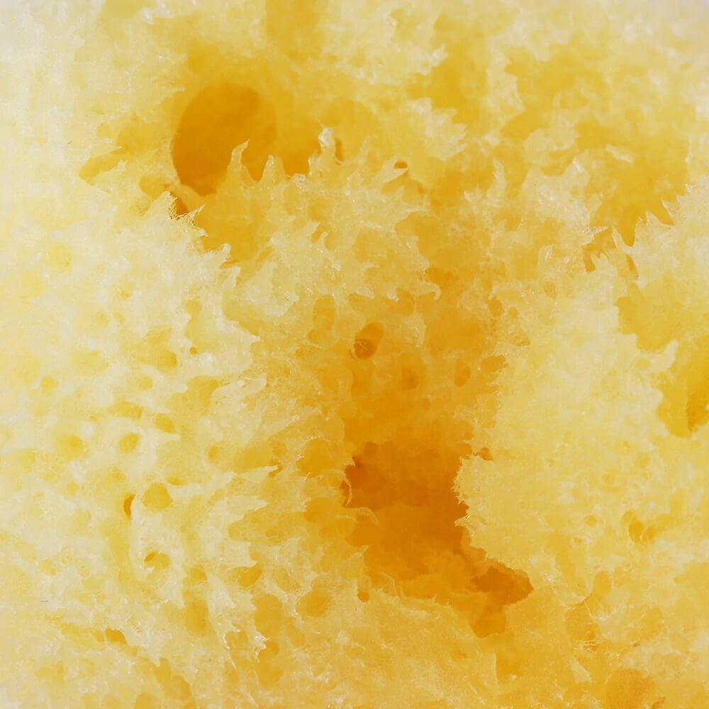 hilloo-ponge-de-mer-naturelle-visage-exfoliante-1-ponge image 3
