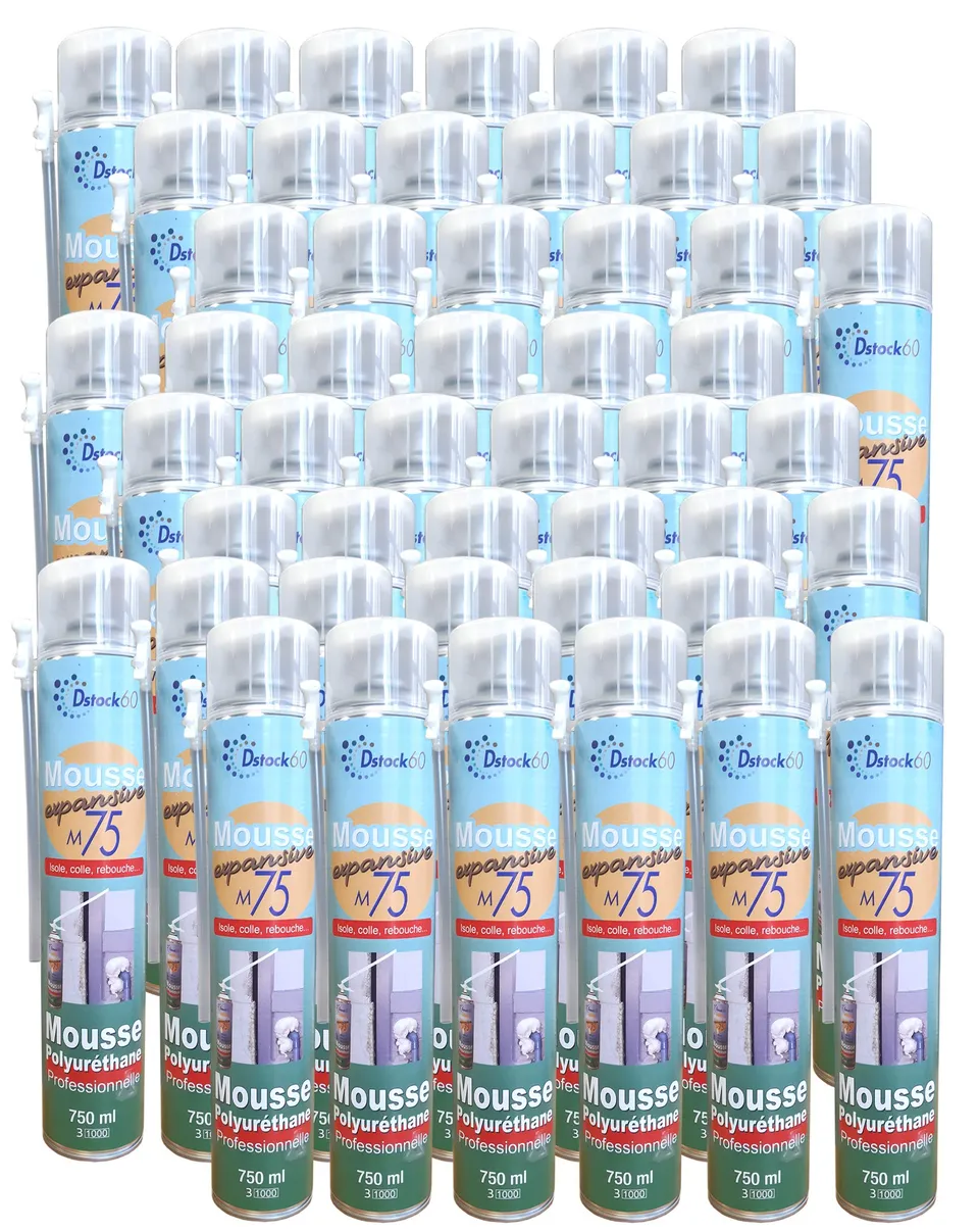 dstock60-mousse-expansive-manuelle-750ml-lot-48-polyur-thane image 1