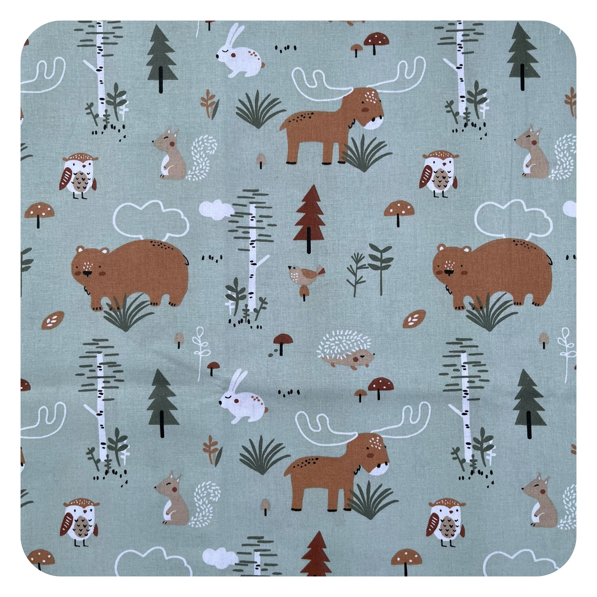 jane-couture-canada-tissu-coton-imprim-150-cm-oekotex image 1