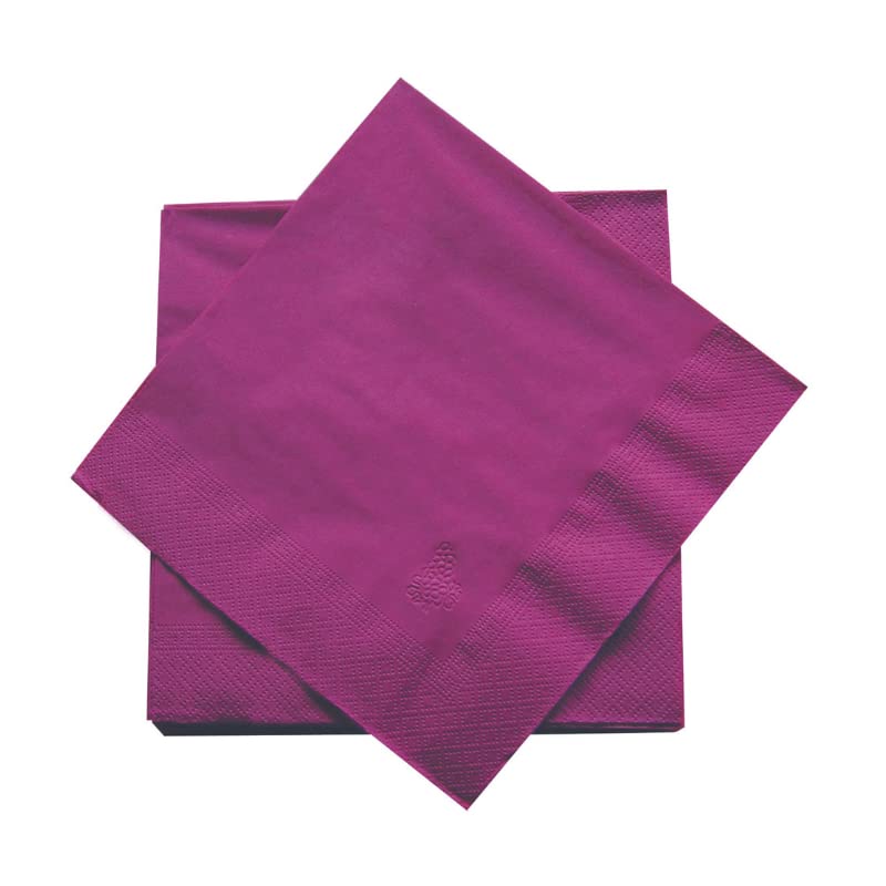 dstock60-arts-de-la-table-serviettes-papier-noix-100-pcs-40x40 image 6