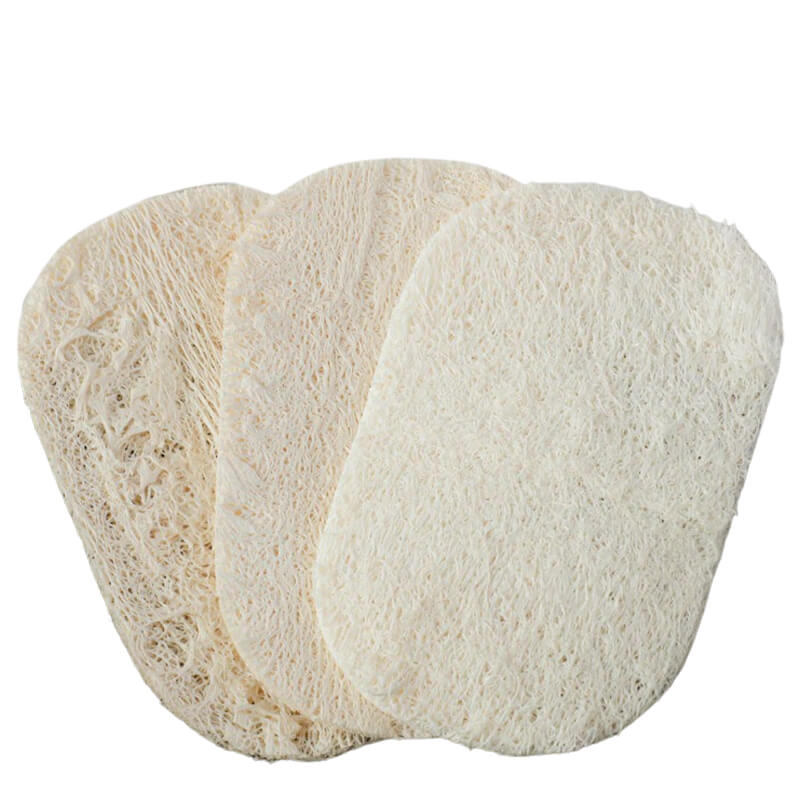 hilloo-ponge-luffa-vaisselle-naturelle-v-g-tale-lot-de-5-compostable image 1