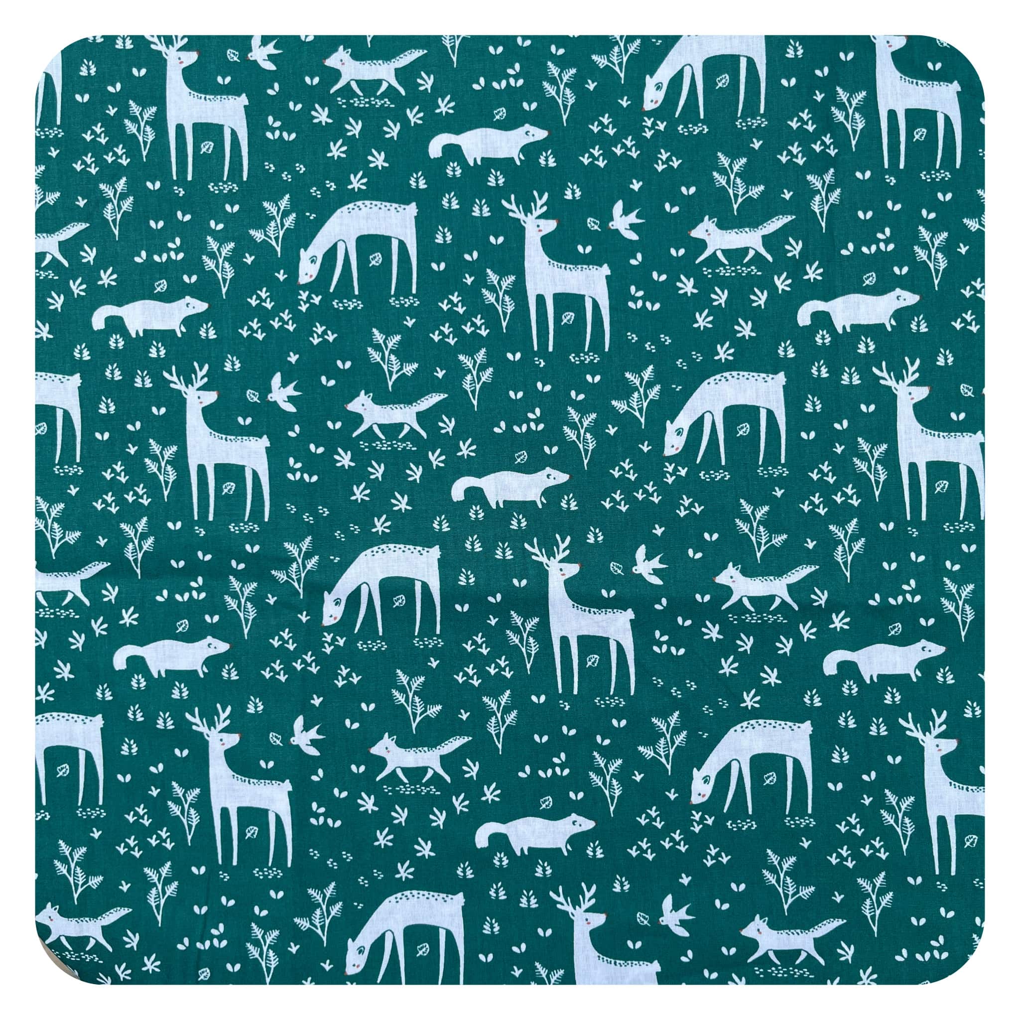 jane-couture-tissus-en-vente-no-l-enchant-tissu-coton-150-cm image 1