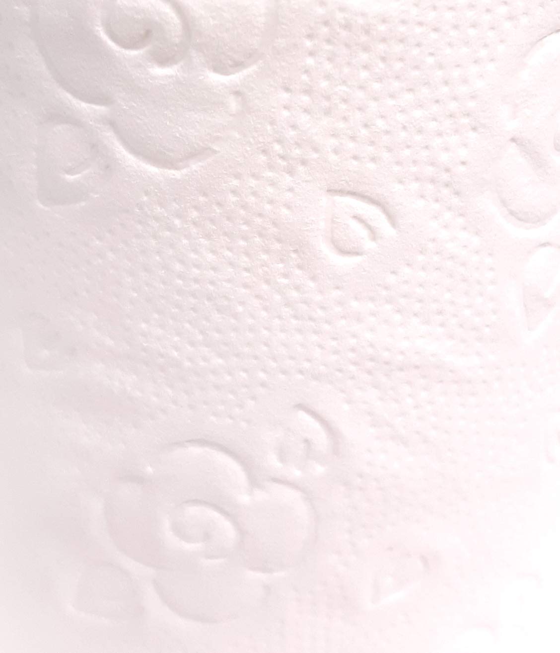 dstock60-papier-toilette-blanc-2-plis-24-rouleaux-400-feuilles image 3