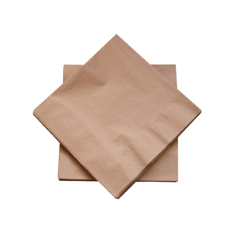 dstock60-arts-de-la-table-serviettes-papier-noix-100-pcs-40x40 image 2