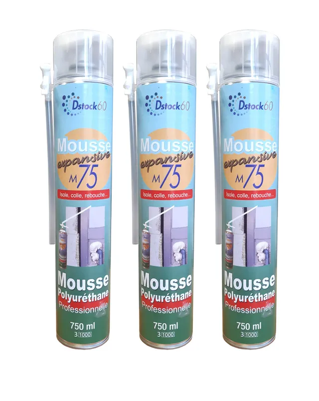 dstock60-mousse-expansive-manuelle-750ml-mousse-pu-lot-3-isolation image 1